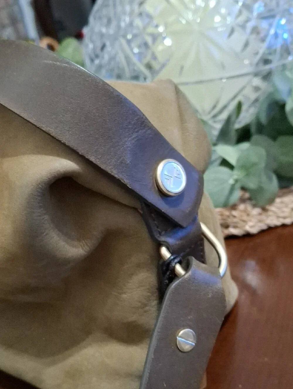 Skagen Leather Crossbody Bag in Olive with Dark Brown Adjustable Strap